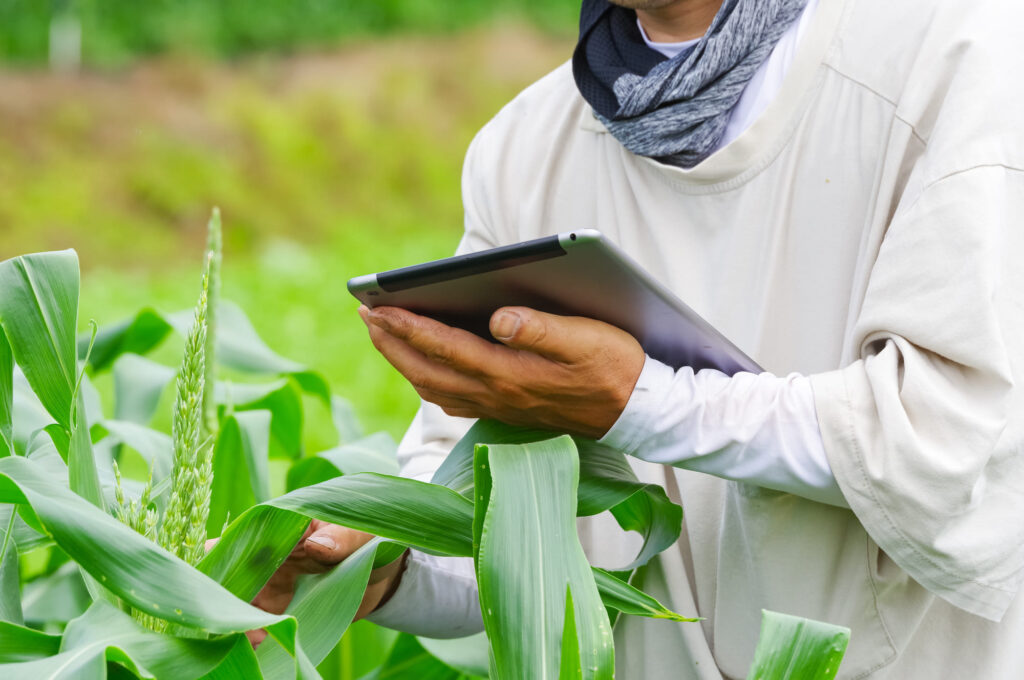 2025年10月からお酒も対象に!オーガニック表示の法的ルールとは|ヘルスケアWebコラム